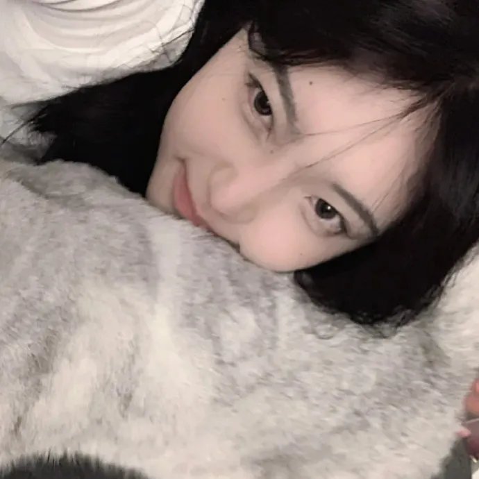 风骚律师第一季